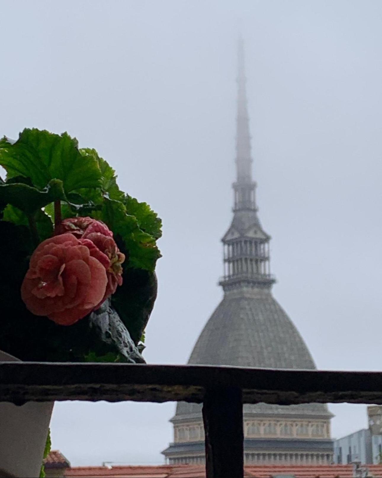 Le Finestre Sulla Mole Apartment ตูริน ภายนอก รูปภาพ